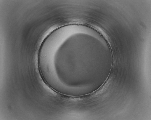X0000115171243200911121732