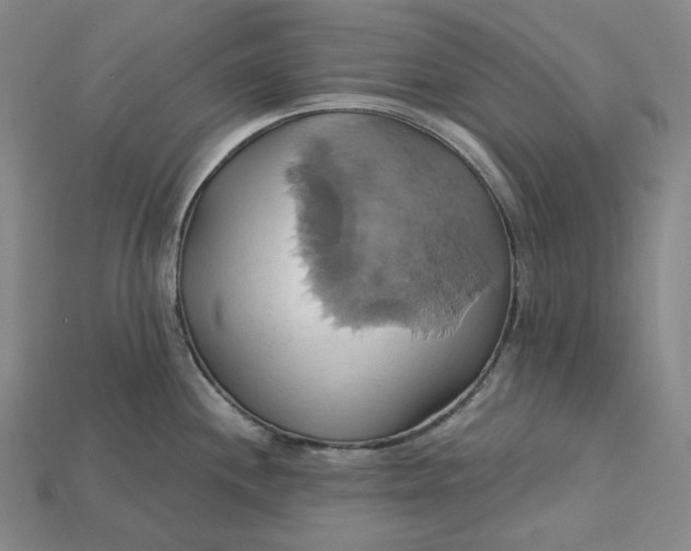 X0000115171244200911121732