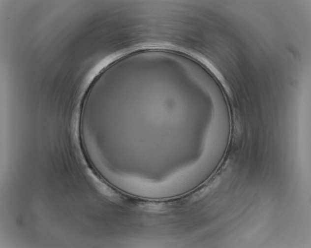 X0000115171245200911121732