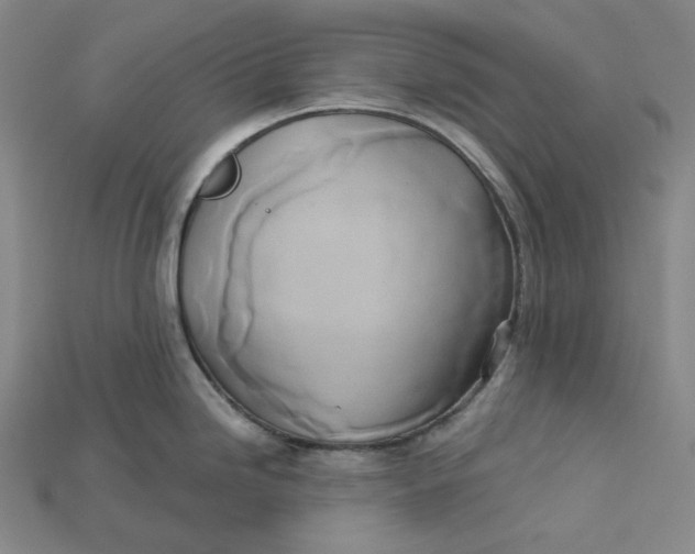 X0000115171246200911121732