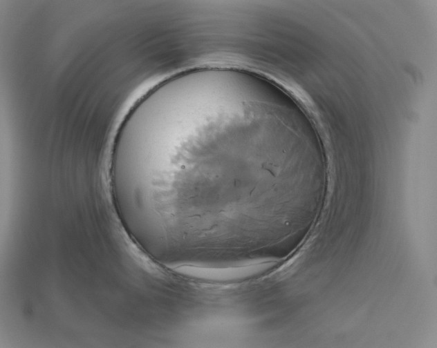 X0000115171248200911121732