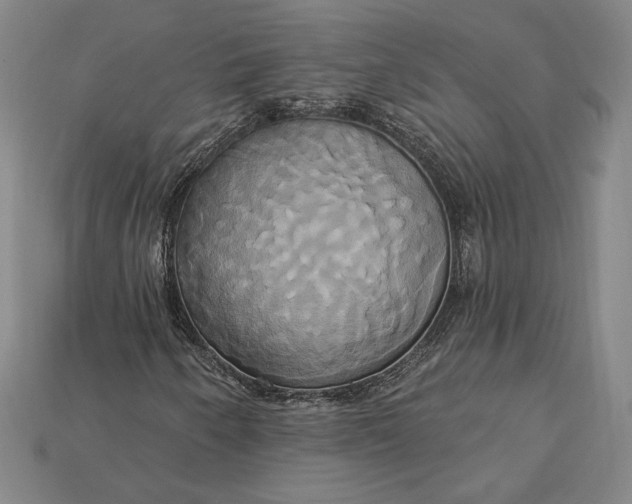 X0000115171250200911121732