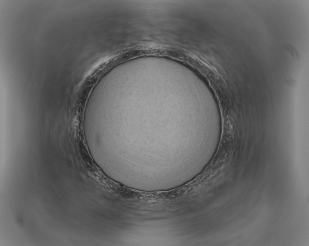X0000115171254200911121732