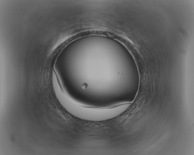 X0000115171255200911121732