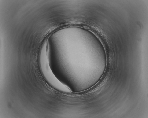 X0000115171257200911121731