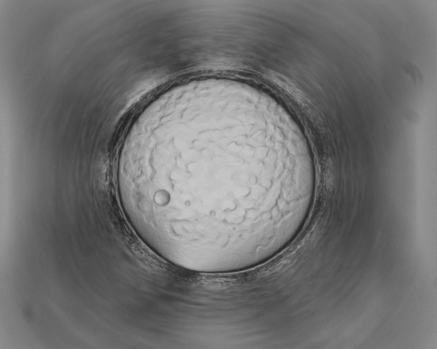 X0000115171258200911121731