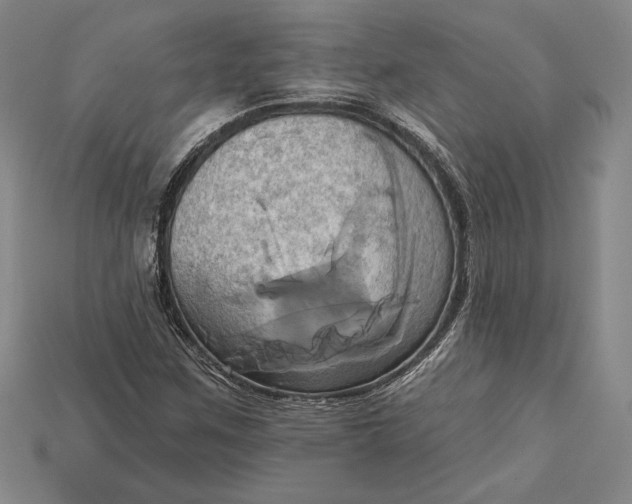 X0000115171259200911121731