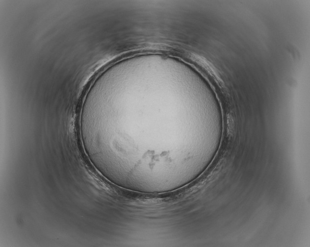 X0000115171260200911121731