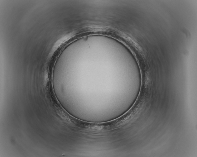 X0000115171261200911121731