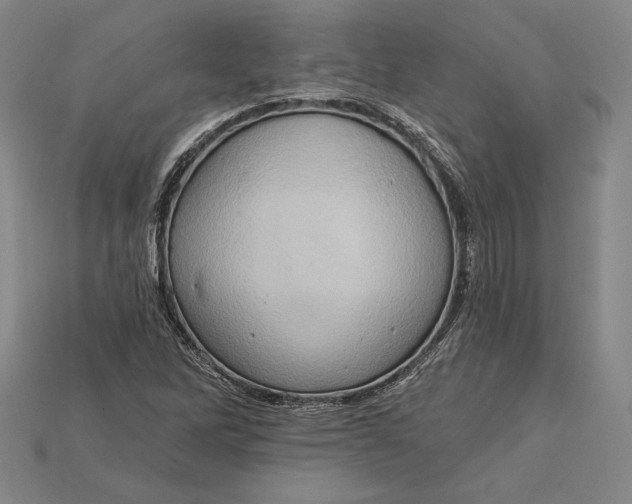 X0000115171262200911121731