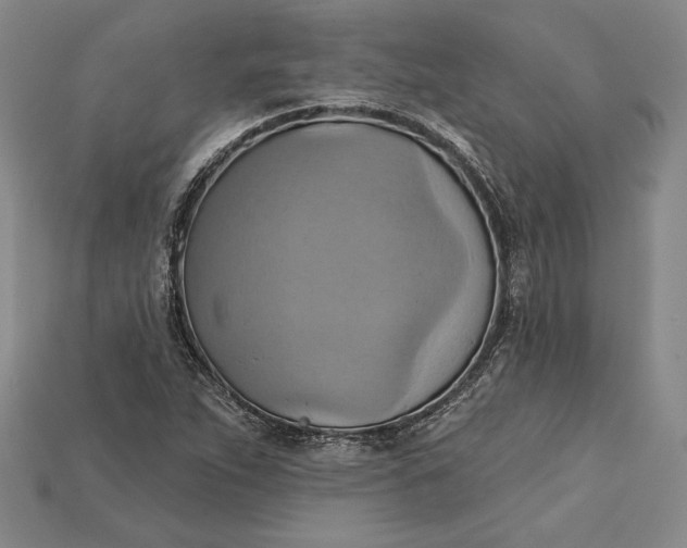 X0000115171263200911121731