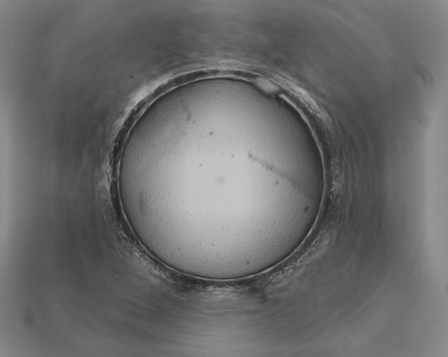 X0000115171264200911121731