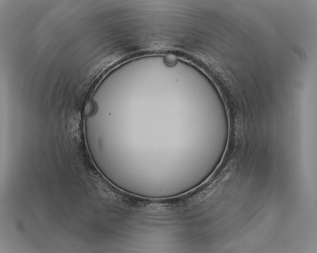 X0000115171265200911121731