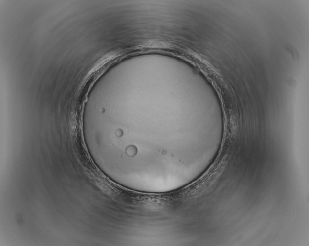 X0000115171266200911121731