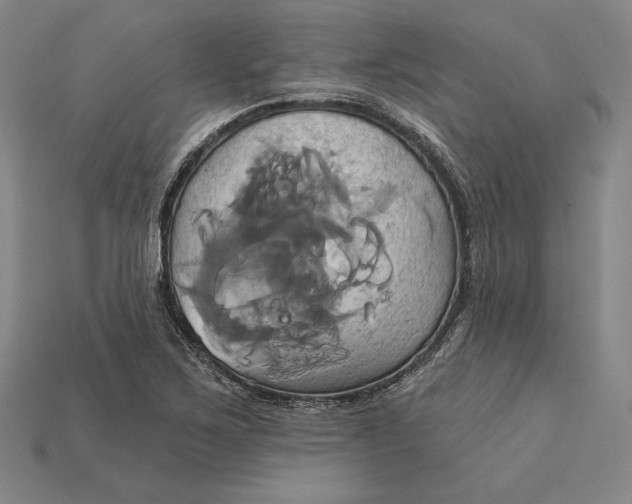X0000115171267200911121731