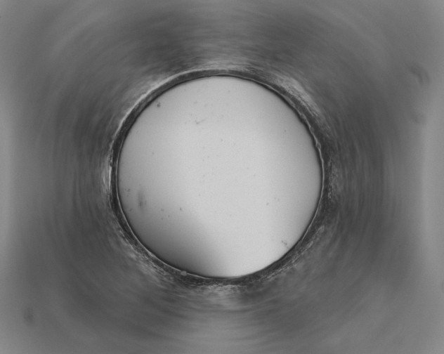 X0000115171268200911121731