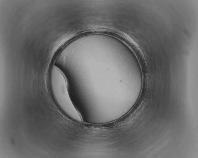 X0000115171269200911121731