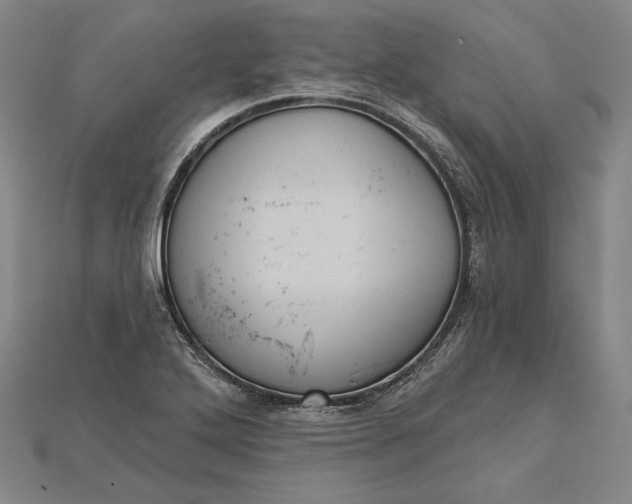 X0000115171272200911121731