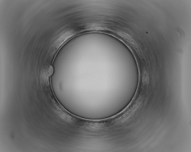 X0000115171273200911121731