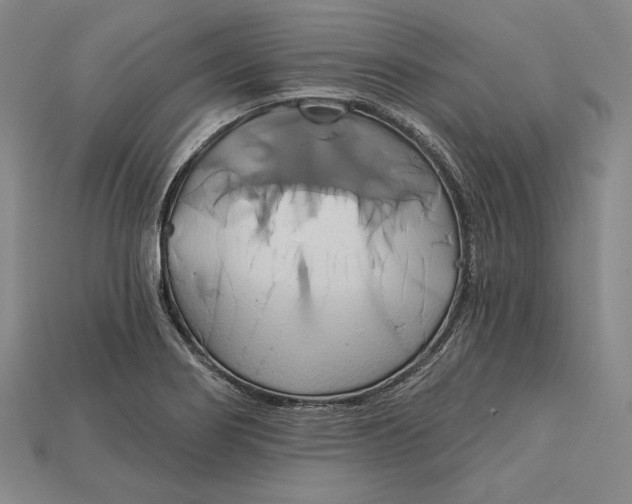 X0000115171274200911121731