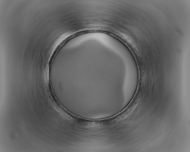 X0000115171275200911121731