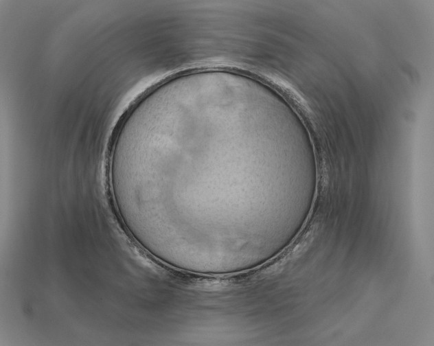 X0000115171278200911121731