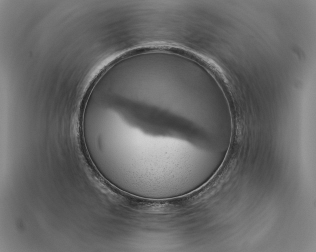 X0000115171279200911121731