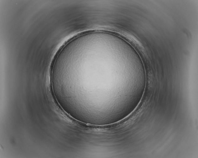 X0000115171280200911121731