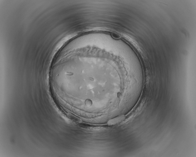 X0000115171282200911121731