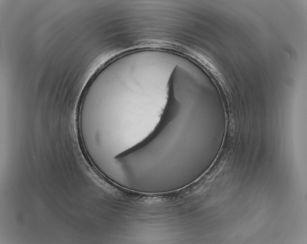 X0000115171283200911121731