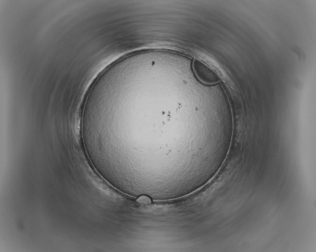X0000115171284200911121731