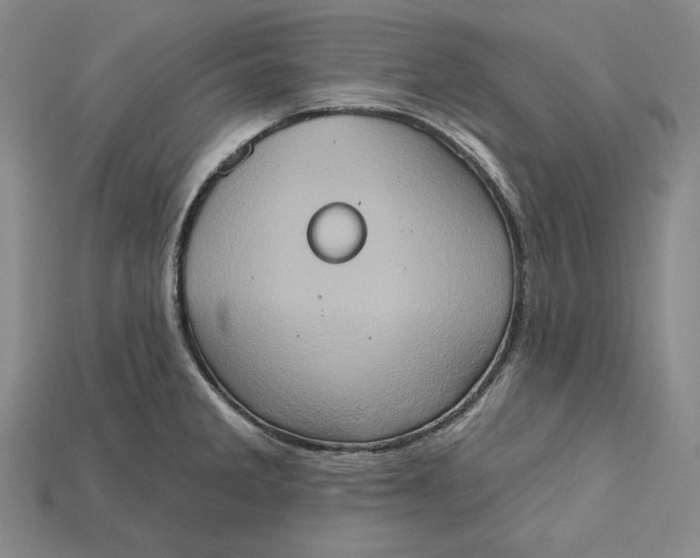 X0000115171285200911121731