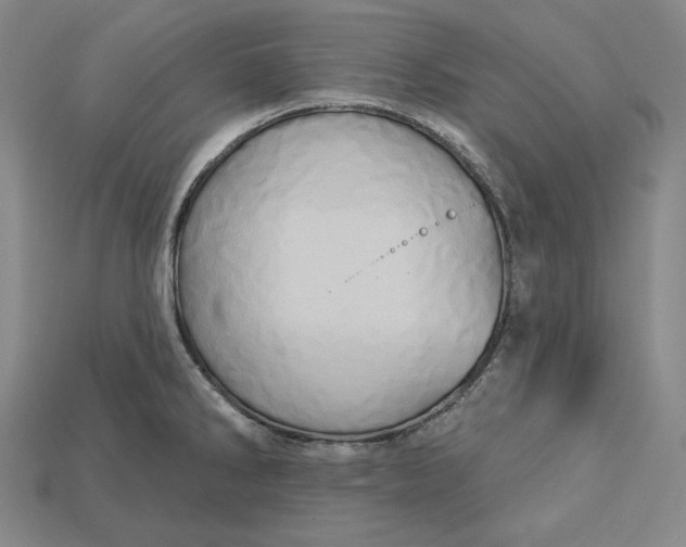 X0000115171286200911121731