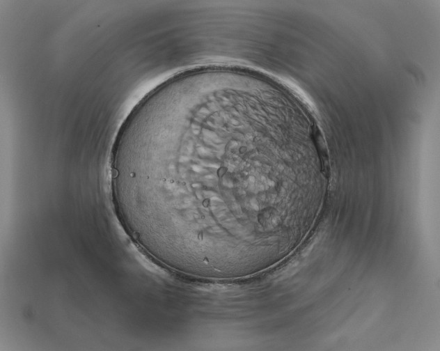 X0000115171287200911121731