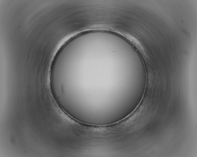 X0000115171288200911121731
