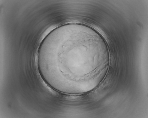 X0000115171290200911121731
