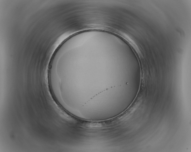 X0000115171291200911121731