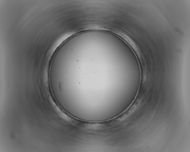 X0000115171293200911121731