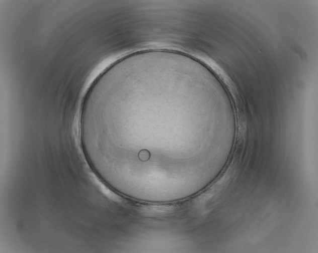 X0000115171294200911121731