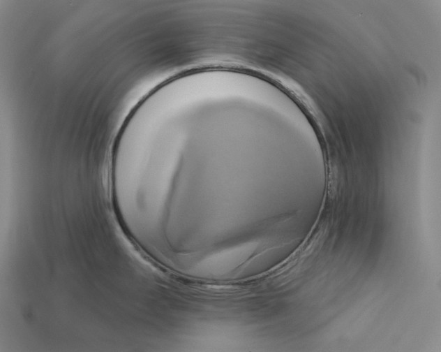 X0000115171295200911121731