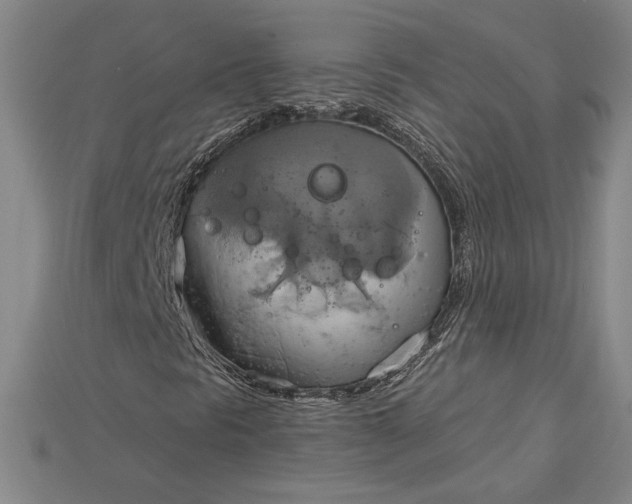 X0000115171297200911121730