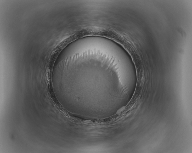 X0000115171301200911121730