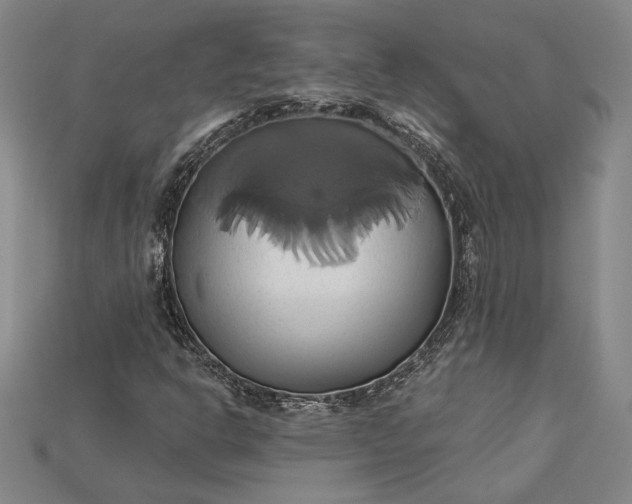 X0000115171302200911121730