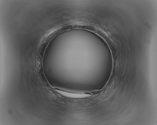 X0000115171303200911121730