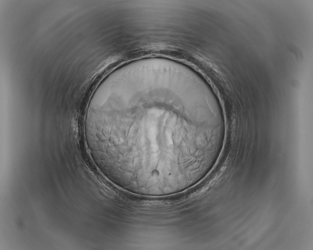 X0000115171305200911121730