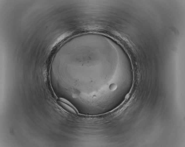 X0000115171306200911121730