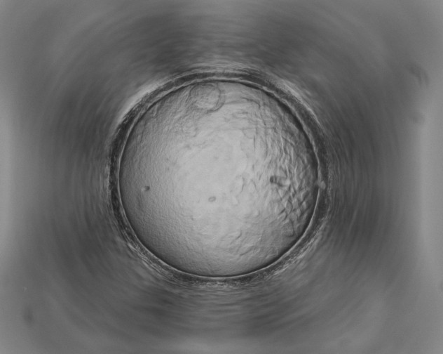 X0000115171307200911121731