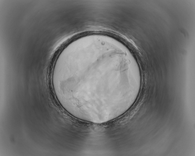 X0000115171311200911121731