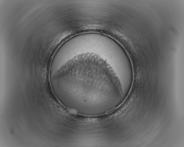 X0000115171313200911121731