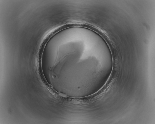 X0000115171319200911121731